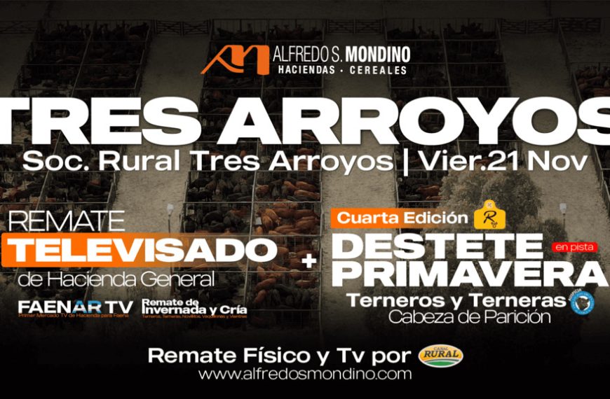 Remate feria Alfredo S. Mondino en Tres Arroyos el 21 de noviembre de 2025