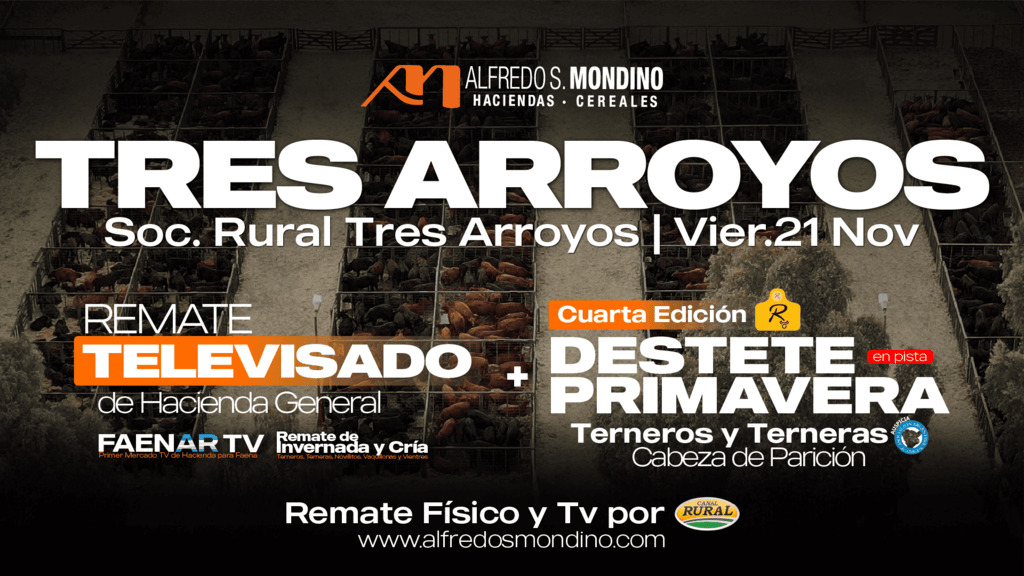 Remate feria Alfredo S. Mondino en Tres Arroyos el 21 de noviembre de 2025