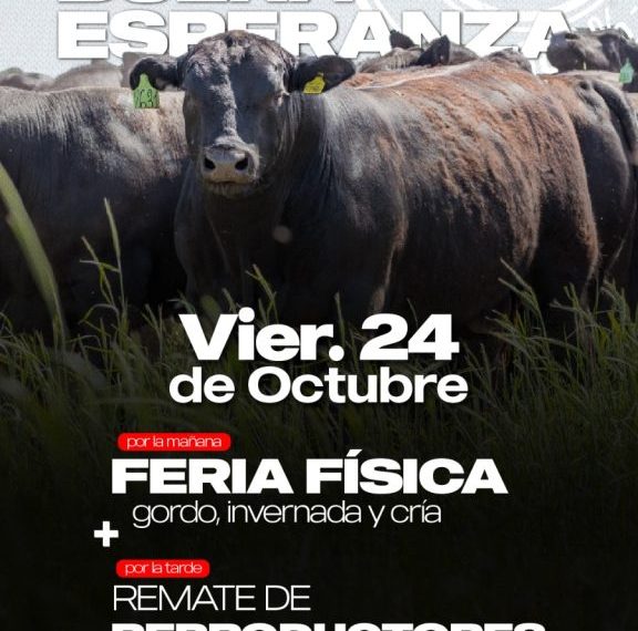 Remate feria Alfredo S. Mondino en Buena Esperanza el 24 de octubre de 2025 con reproductores y