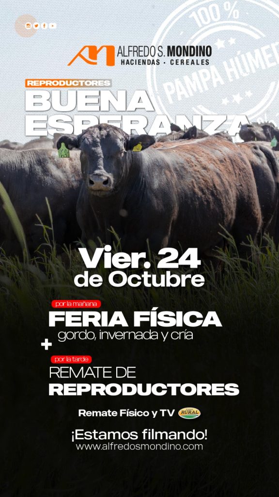Remate feria Alfredo S. Mondino en Buena Esperanza el 24 de octubre de 2025 con reproductores y