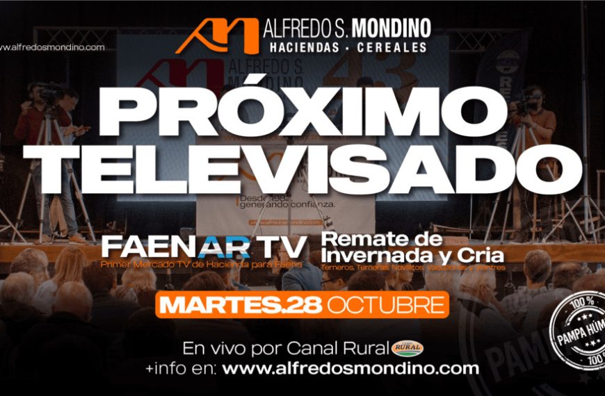Remate feria Alfredo S. Mondino televisado por Canal Rural el 28 de octubre de 2025.