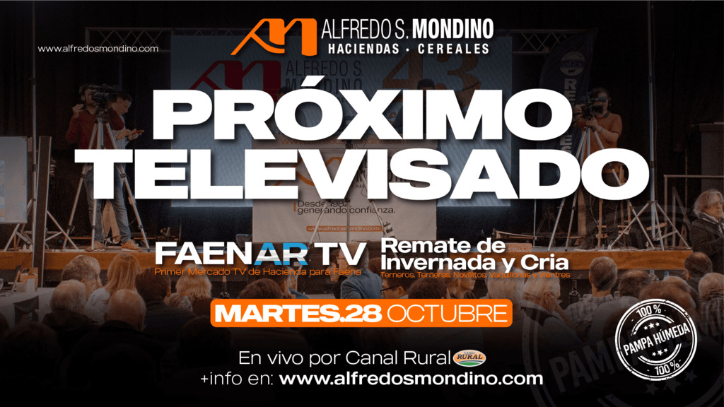 Remate feria Alfredo S. Mondino televisado por Canal Rural el 28 de octubre de 2025.
