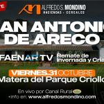 Alfredo S. Mondino | San Antonio de Areco | Próximo Remate Feria el viernes 31 de octubre de 2025