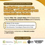 La apicultura en primavera. Nutrición, multiplicación y una experiencia en Carinata