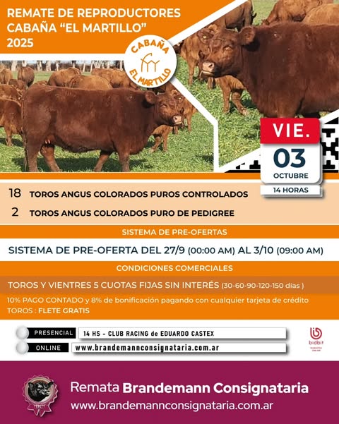 Remate feria Brandemann Consignataria en Eduardo Castex el 3 de octubre 2025