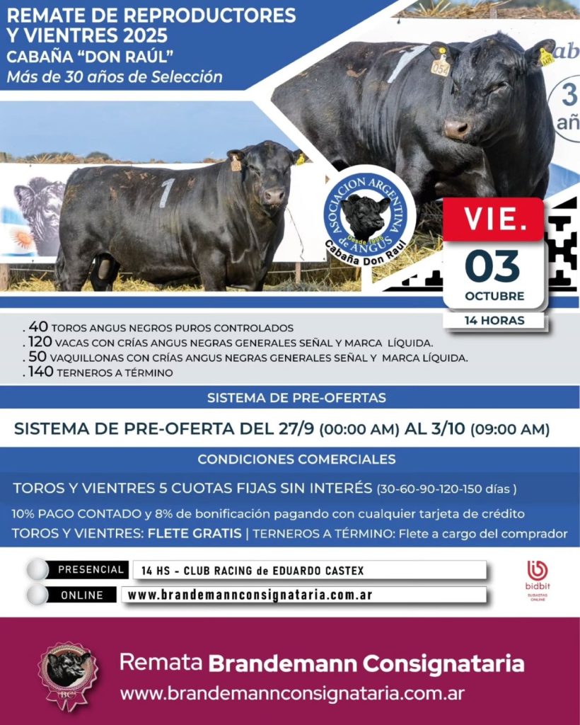 Remate feria Brandemann Consignataria en Eduardo Castex el 3 de octubre 2025