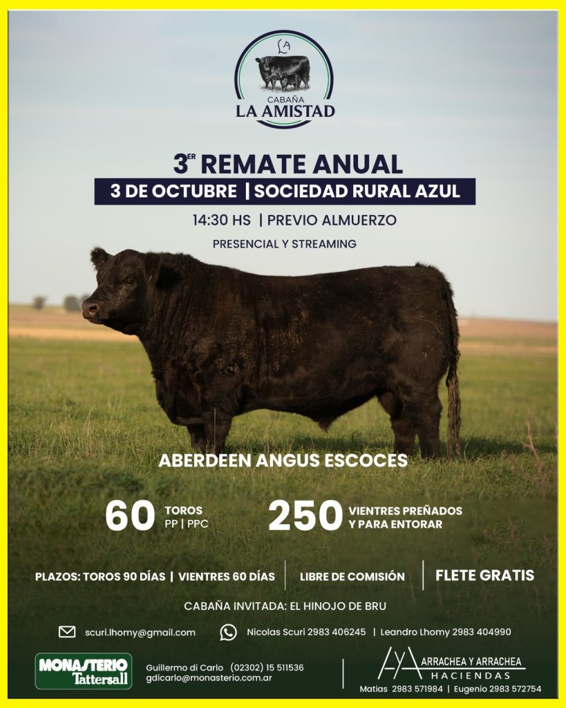 Remate feria Cabaña La Amistad en Azul con toros y vientres Aberdeen Angus Escocés el 3 de octubre de 2025.