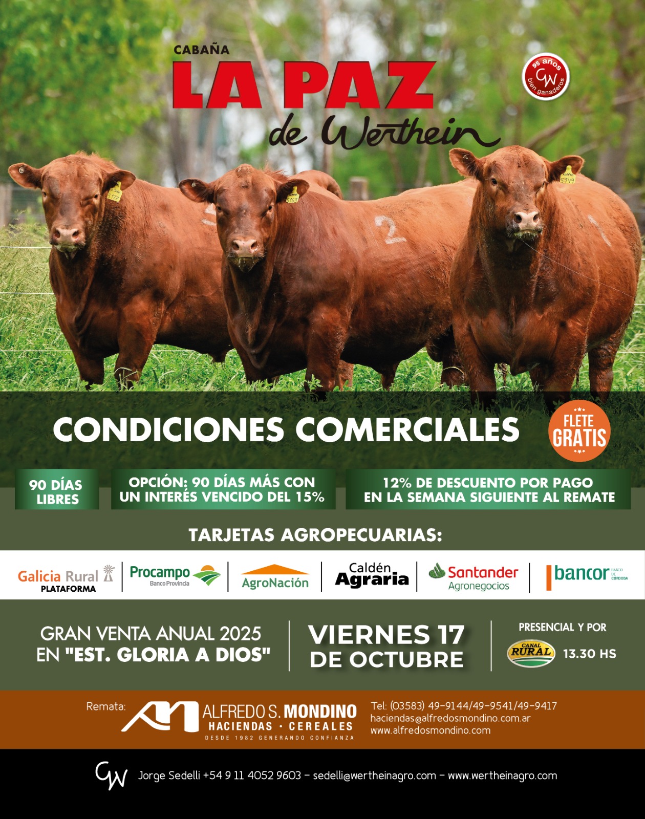 Remate feria Cabaña La Paz Batavia 17/10/2025: campeón vaquillona menor Nacional Angus, corral 35, venta 50%