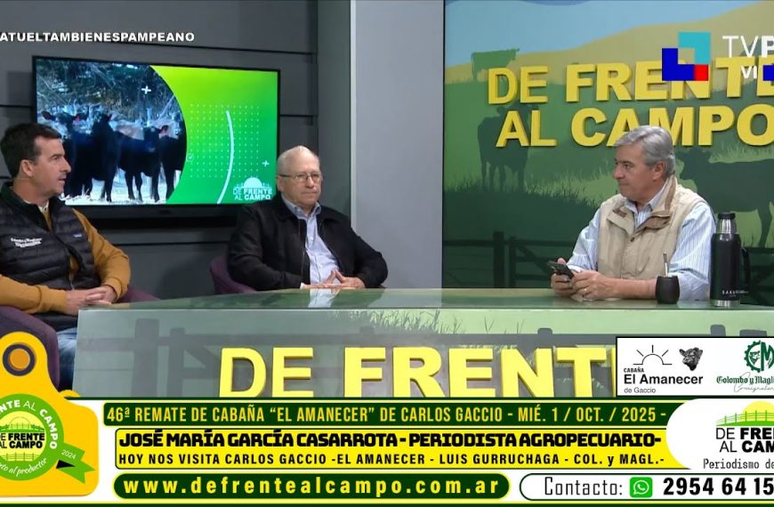 remate cabaña el amanecer: Carlos Gassio
