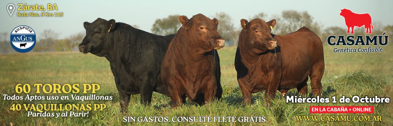 Casamú | Zárate (BA) | Próximo Remate Feria el Miércoles 1 de octubre de 2025