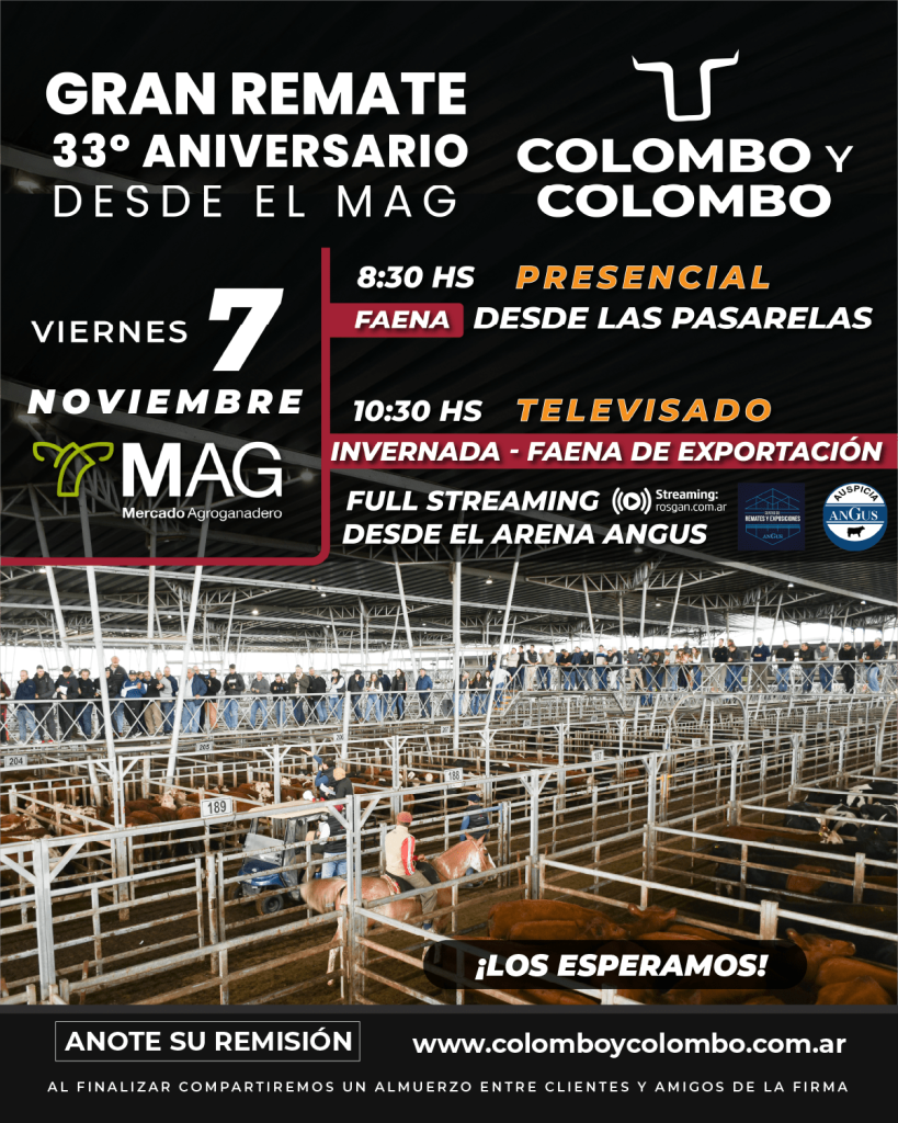 Remate feria Colombo y Colombo en el MAG el 7 de noviembre de 2025, con faena e invernada presencial y televisada.