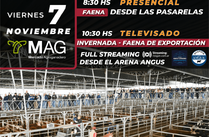 Remate feria Colombo y Colombo en el MAG el 7 de noviembre de 2025, con faena e invernada presencial y televisada.