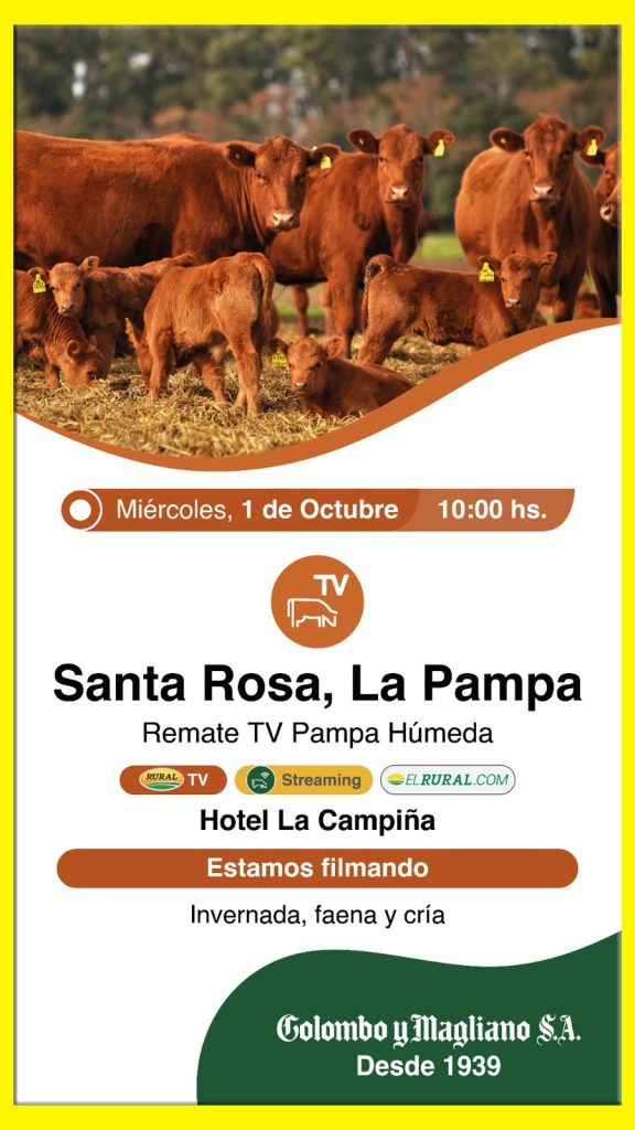 Remate feria Colombo y Magliano en Santa Rosa La Pampa el 1 de octubre de 2025