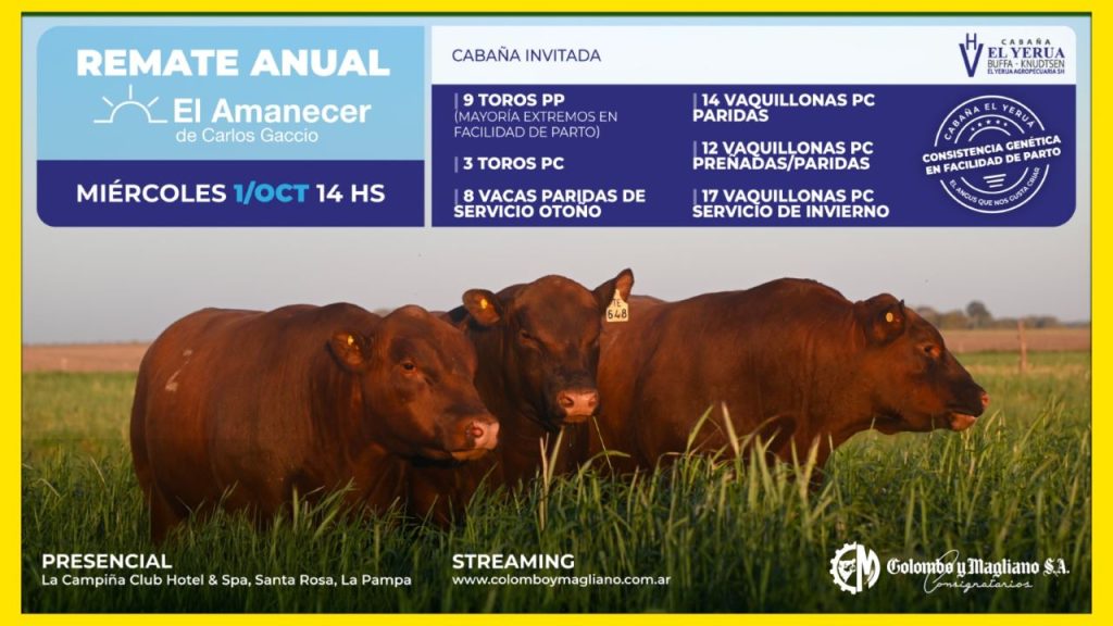 Remate feria Colombo y Magliano S.A. en Santa Rosa con Cabaña El Amanecer el 1 de octubre de 2025.