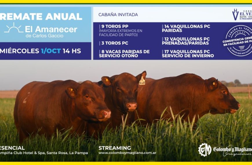 Remate feria Colombo y Magliano S.A. en Santa Rosa con Cabaña El Amanecer el 1 de octubre de 2025.