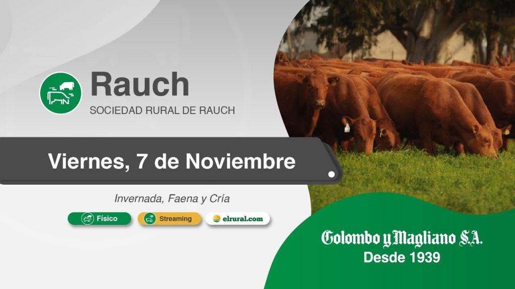Remate feria Colombo y Magliano en Rauch el 7 de noviembre de 2025, con hacienda de invernada, faena y cría.