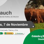 Colombo y Magliano S.A. | Rauch | Próximo Remate Feria el viernes 7 de noviembre de 2025