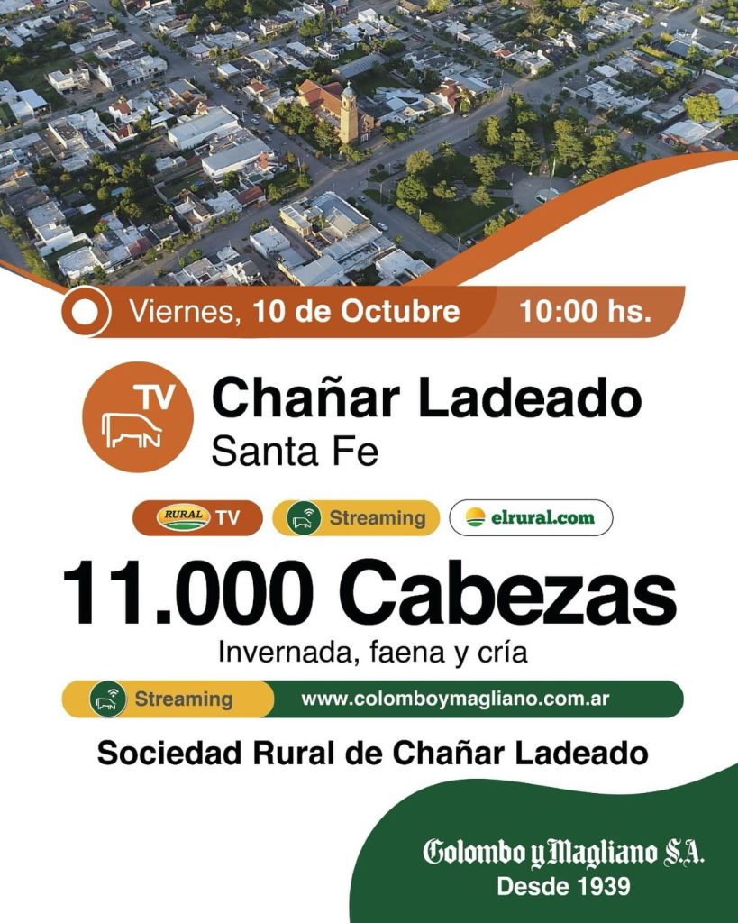 Remate feria Colombo y Magliano en Chañar Ladeado Santa Fe con 11.000 cabezas el 10 de octubre de 2025.