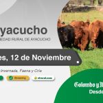 Colombo y Magliano S.A. | Ayacucho | Próximo Remate Feria el Miércoles 12 de Noviembre de 2025