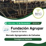 Colombo y Magliano S.A. | Cañuelas | Próximo Remate Feria el miércoles 12 de noviembre de 2025
