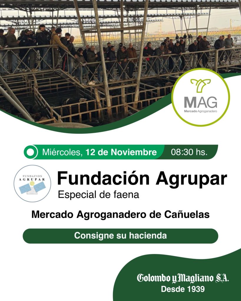 Remate feria Colombo y Magliano en Cañuelas el 12 de noviembre de 2025 en el Mercado Agroganadero.