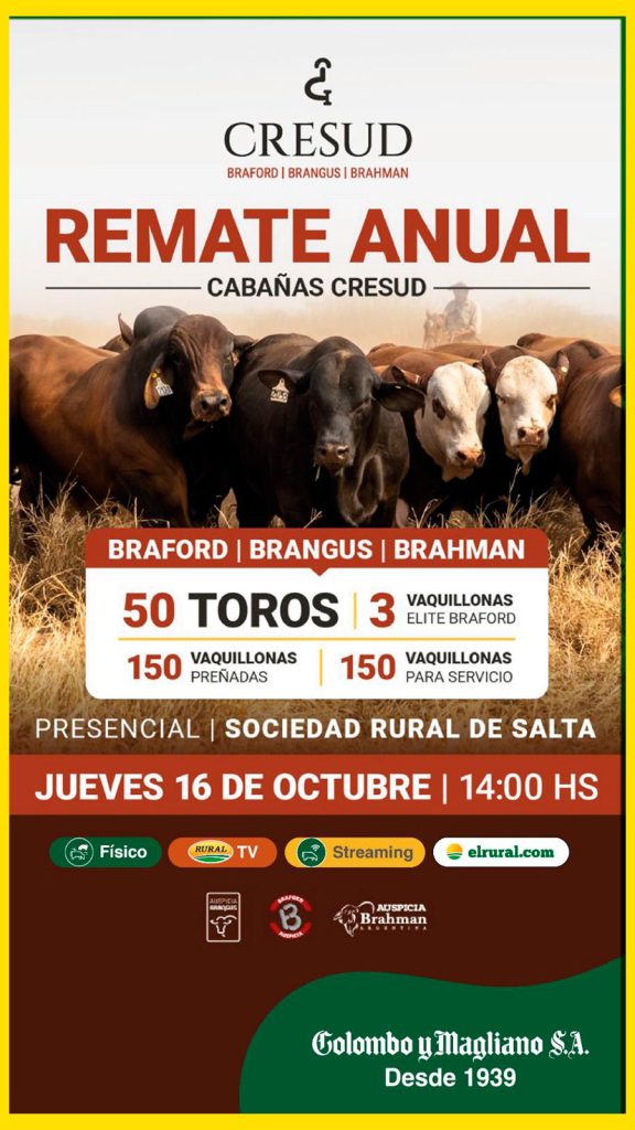 Remate feria Colombo y Magliano en Salta el 16 de octubre 2025 con toros y vaquillonas Cabañas Cresud.
