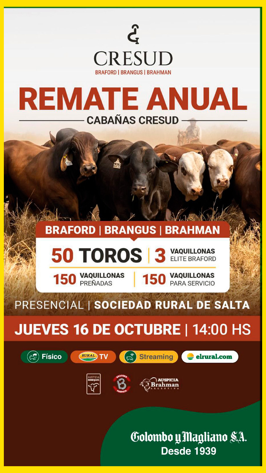 Remate feria Colombo y Magliano en Salta el 16 de octubre 2025 con toros y vaquillonas Cabañas Cresud.