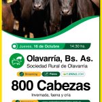 Colombo y Magliano S.A. | Olavarría, Bs. As. | Próximo Remate Feria el jueves 16 de octubre de 2025