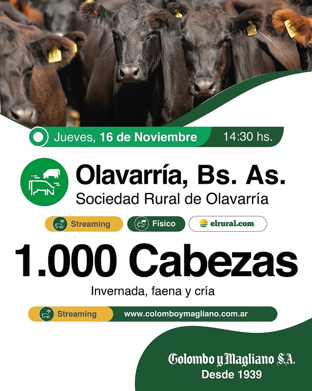 Remate feria Colombo y Magliano en Olavarría con 1.000 cabezas el 16 de noviembre de 2025.