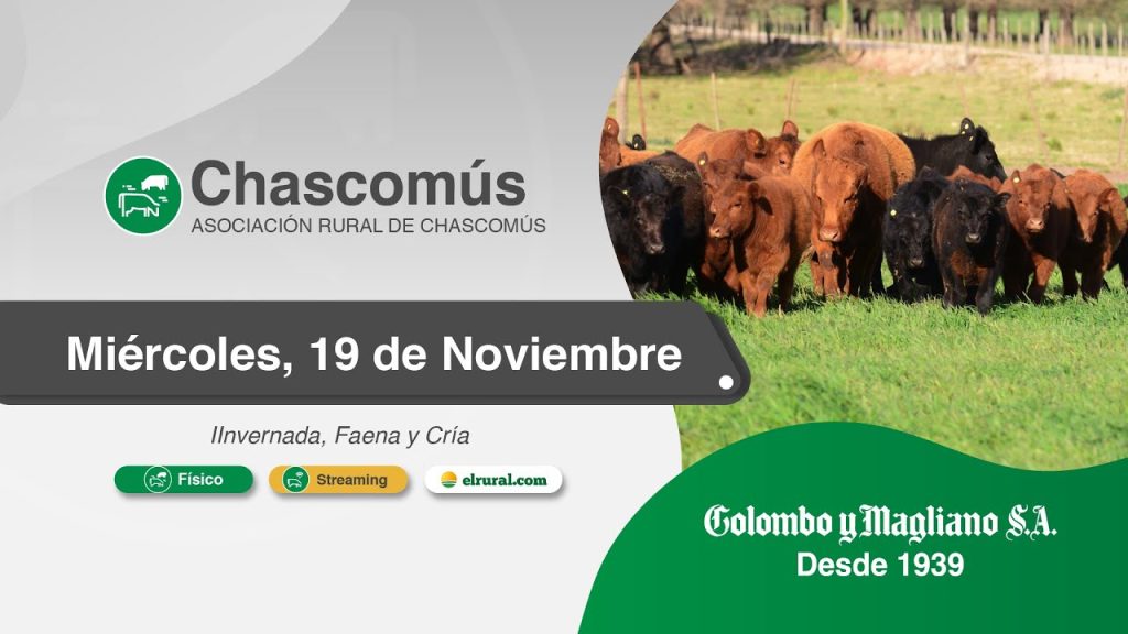 Remate feria Colombo y Magliano en Chascomús el 19 de noviembre 2025