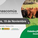 Colombo y Magliano S.A. | Chascomús | Próximo Remate Feria el Miércoles 19 de noviembre de 2025