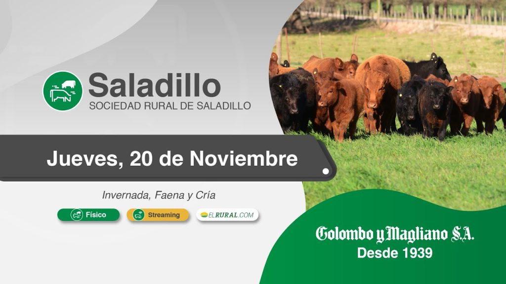 Remate feria Colombo y Magliano en Saladillo el jueves 20 de noviembre de 2025.