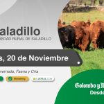 Colombo y Magliano S.A. | Saladillo | Próximo Remate Feria el jueves 20 de noviembre de 2025
