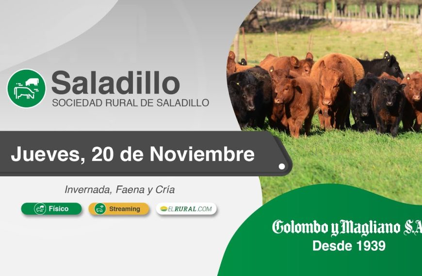 Remate feria Colombo y Magliano en Saladillo el jueves 20 de noviembre de 2025.