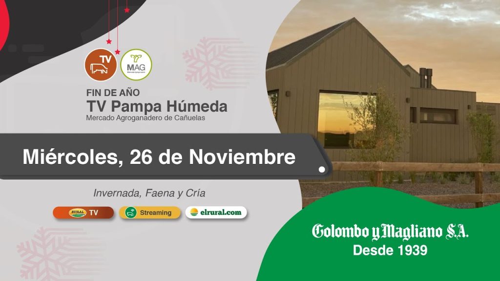 Remate feria Colombo y Magliano en Cañuelas el 26 de noviembre 2025, televisado por Rural TV.