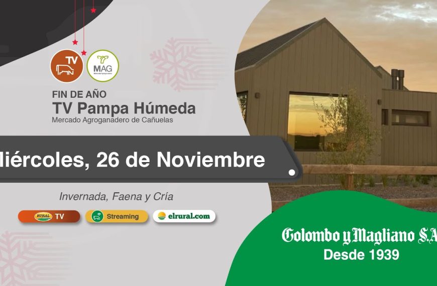 Remate feria Colombo y Magliano en Cañuelas el 26 de noviembre 2025, televisado por Rural TV.