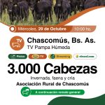 Colombo y Magliano S.A. | Chascomús | Próximo Remate Feria el miércoles 29 de octubre de 2025
