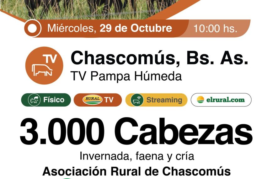Remate feria de Colombo y Magliano en Chascomús con 3.000 cabezas el 29 de octubre de 2025.