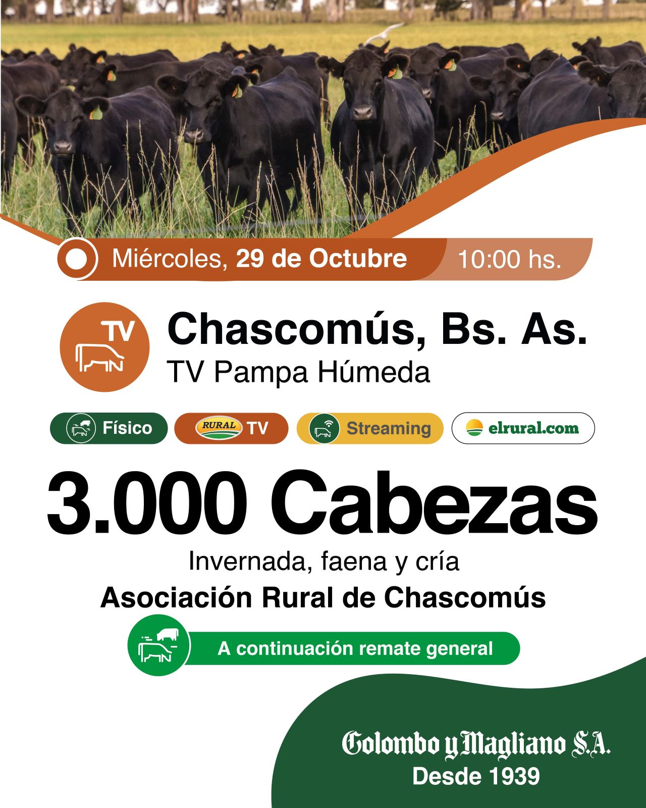 Remate feria de Colombo y Magliano en Chascomús con 3.000 cabezas el 29 de octubre de 2025.
