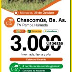 Colombo y Magliano S.A. | Chascomús | Próximo Remate Feria el miércoles 29 de octubre de 2025