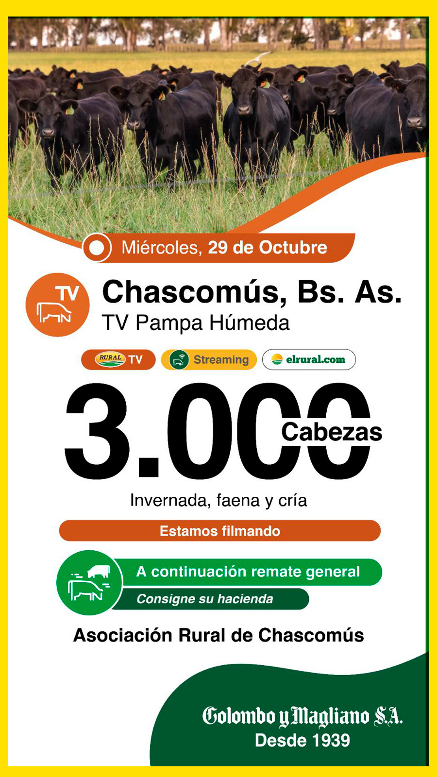 Colombo y Magliano S.A. | Chascomús | Próximo Remate Feria el miércoles 29 de octubre de 2025
