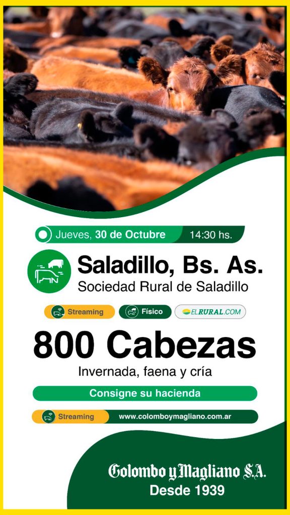 Remate feria Colombo y Magliano en Saladillo con 800 cabezas el 30 de octubre de 2025.