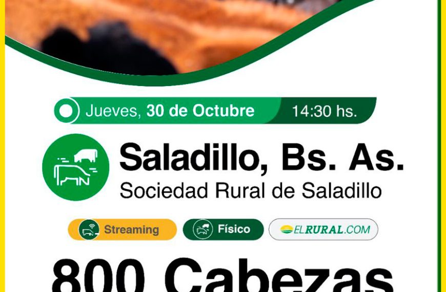 Remate feria Colombo y Magliano en Saladillo con 800 cabezas el 30 de octubre de 2025.