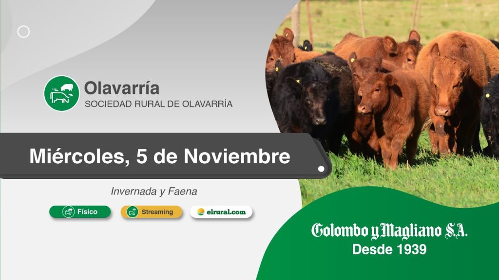 Remate feria Colombo y Magliano en Olavarría el 5 de noviembre de 2025