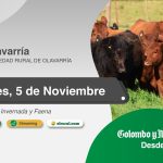 Colombo y Magliano S.A. | Olavarría | Próximo Remate Feria el miércoles 5 de noviembre de 2025
