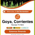 Colombo y Magliano S.A. | Goya, Corrientes | Próximo Remate Feria el miércoles 5 de noviembre de 2025