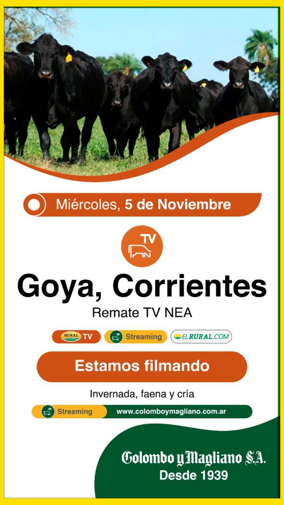 Remate feria Colombo y Magliano en Goya Corrientes el 5 de noviembre 2025 por TV y streaming.