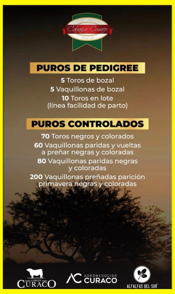 Remate feria Cabaña Curacó en Gral. Acha La Pampa el 2 de octubre 2025