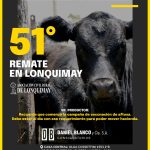 Daniel Blanco y Cía. S.A. | Lonquimay | Próximo Remate Feria el jueves 23 de octubre de 2025