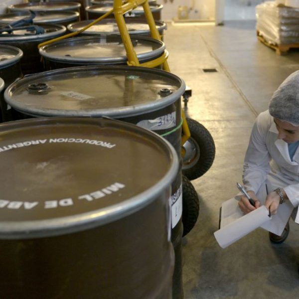 Exportaciones apícolas argentinas logran el mayor volumen de los últimos siete años